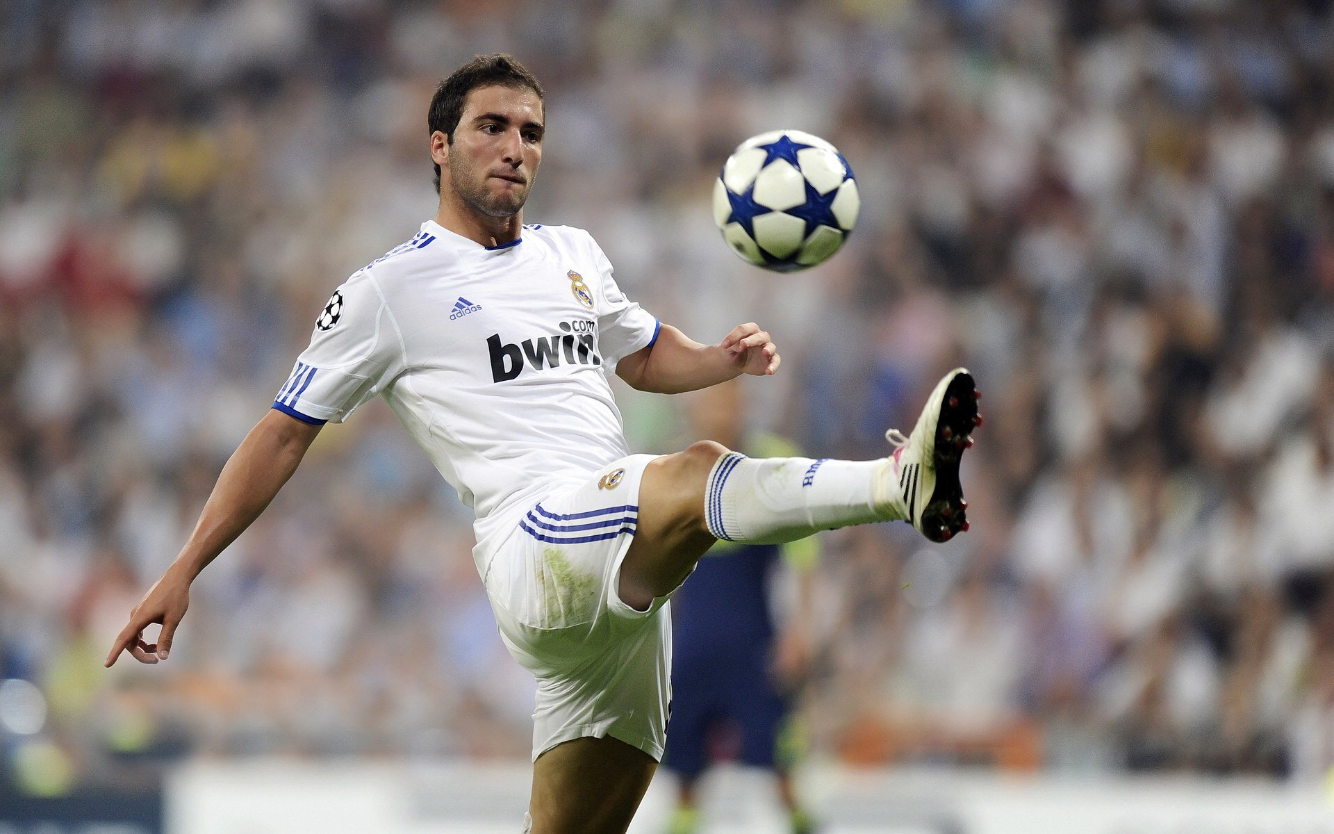 梁馨枰：“人生只能是旷野”，你的生活是什么样？